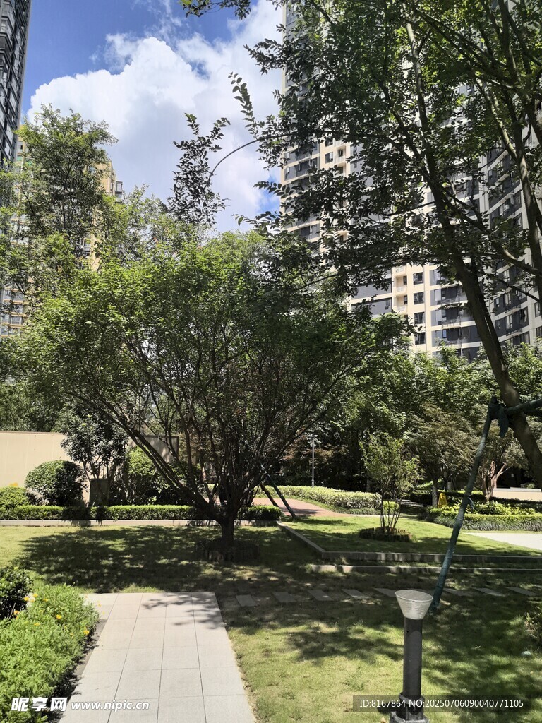 城市中的静谧绿化景观