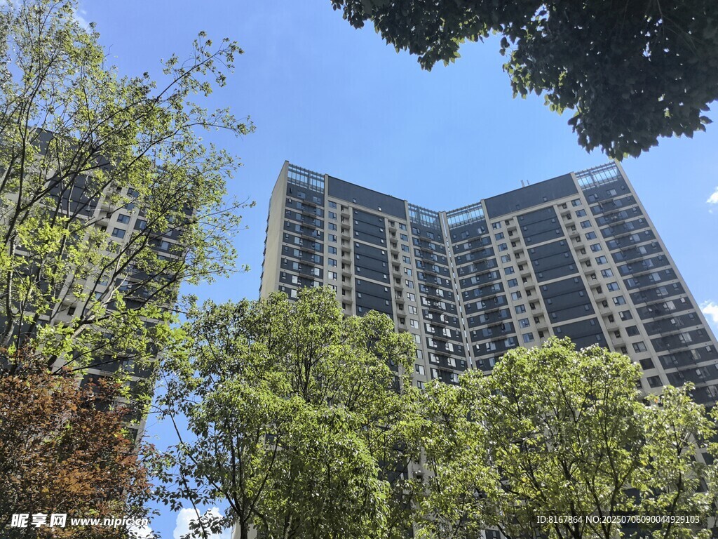 绿树环绕的高层住宅楼