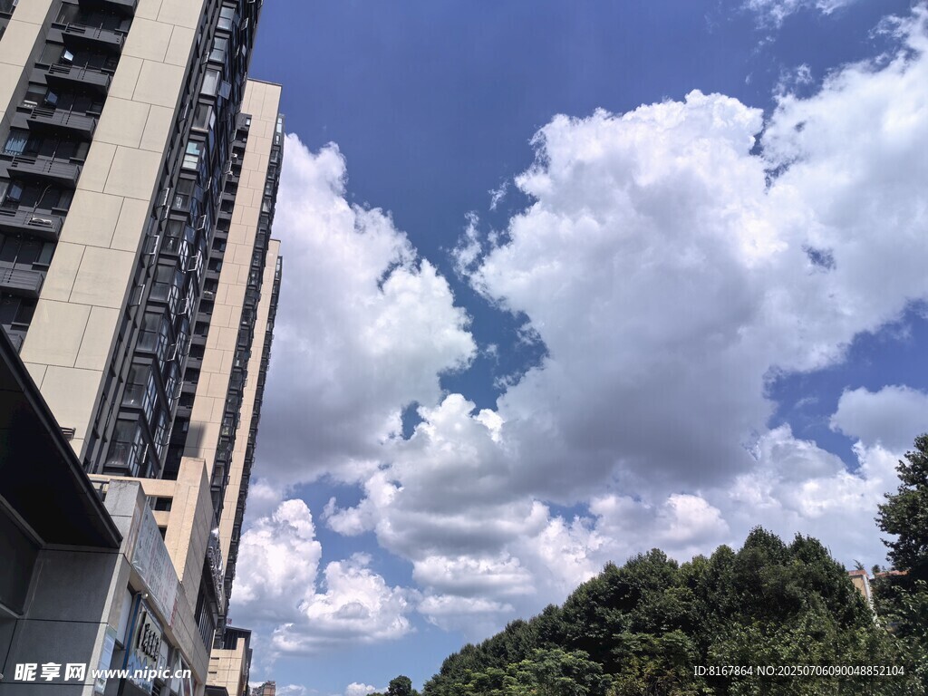 高楼与蓝天白云绿树