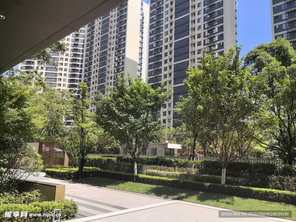 都市小区内的绿意景观
