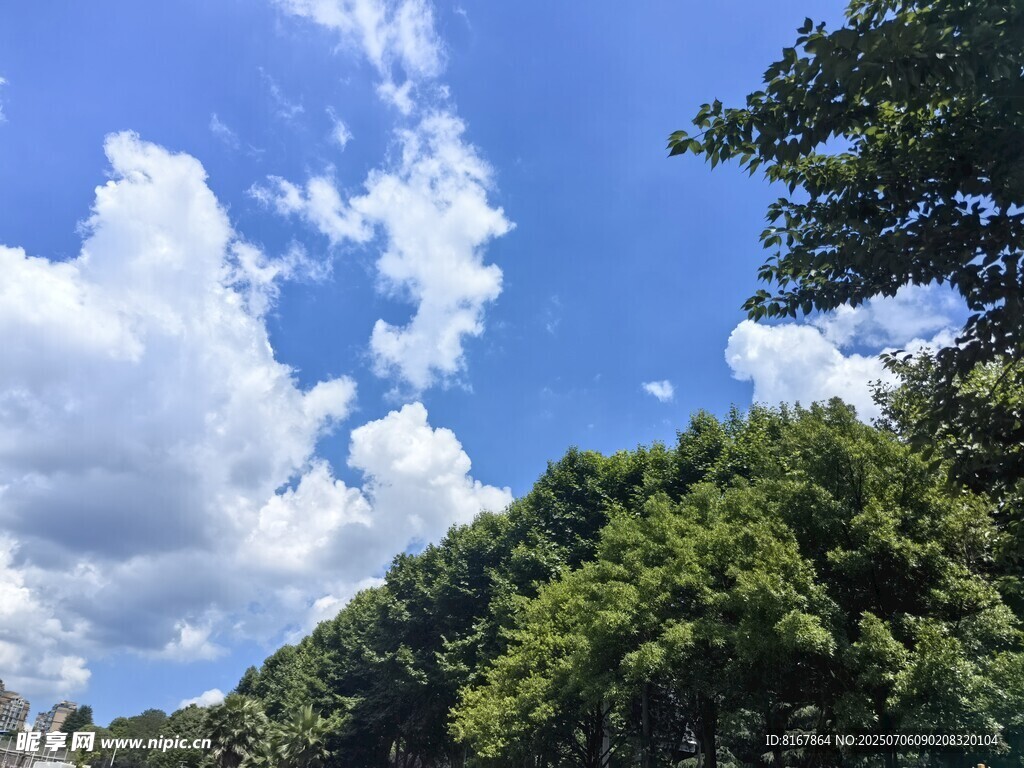 蓝天白云下的葱郁山林