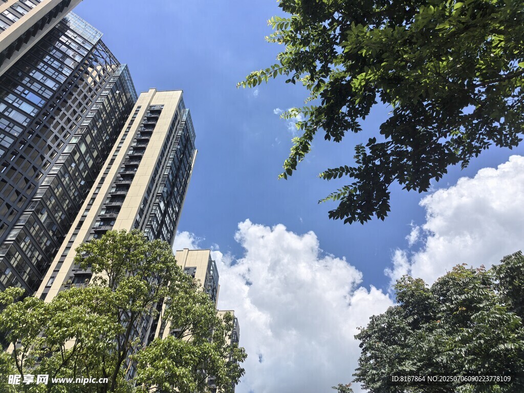 城市高楼与绿树蓝天