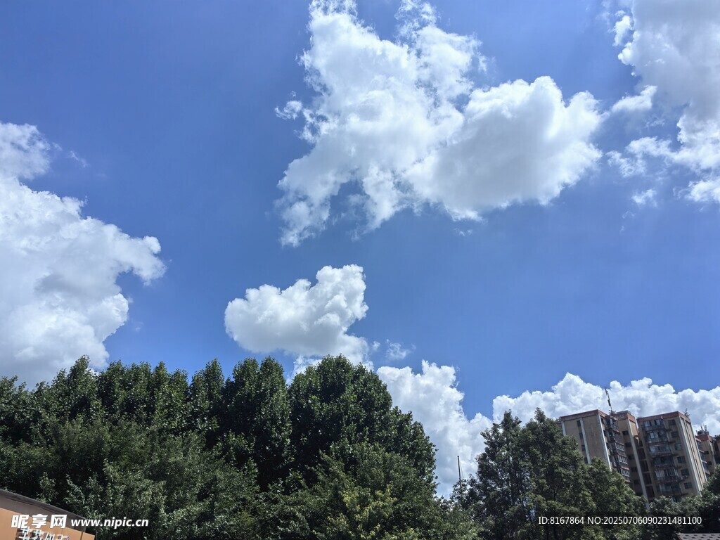 蓝天白云下的绿树与建筑