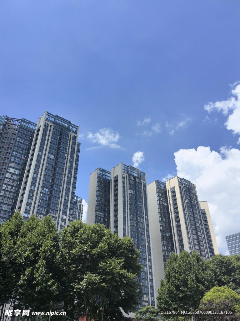 城市高楼与绿树相映成景