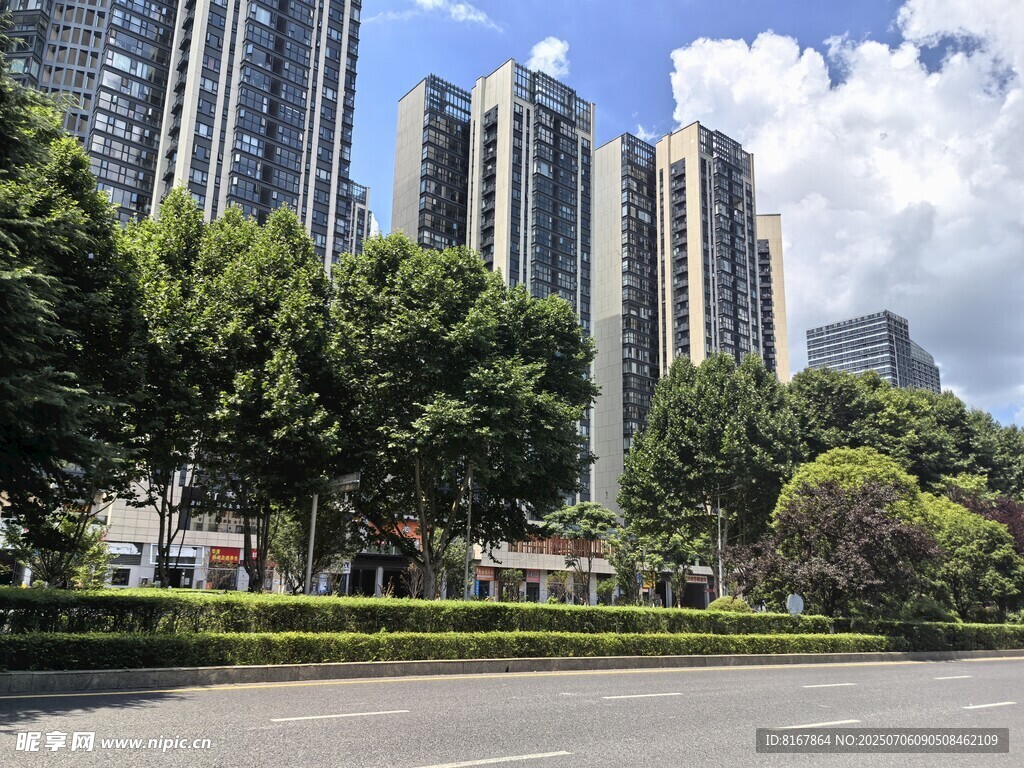 城市高楼与绿树景观