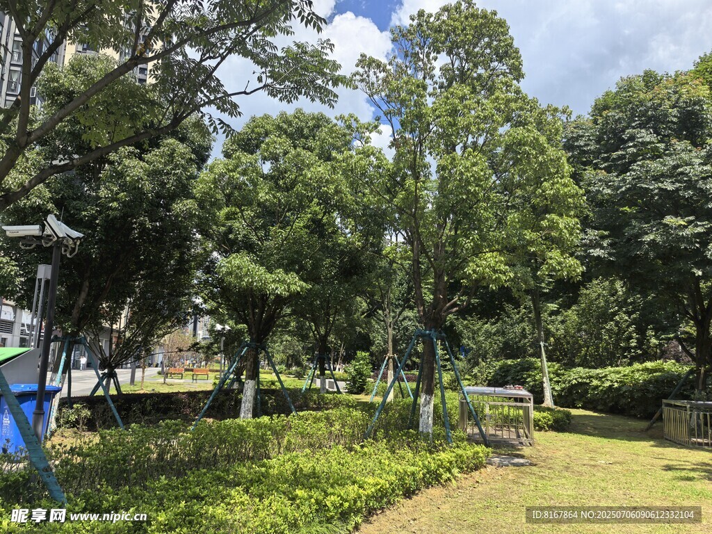 城市中的静谧绿意公园