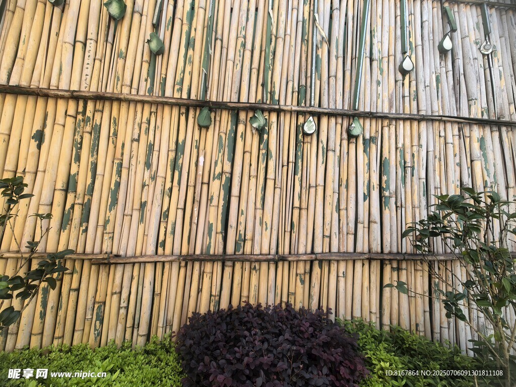 竹制围墙旁的绿植景致