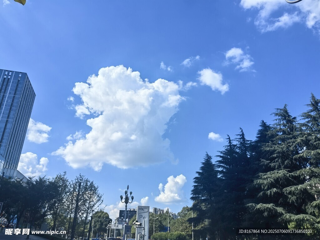 蓝天白云下的城市绿树景观