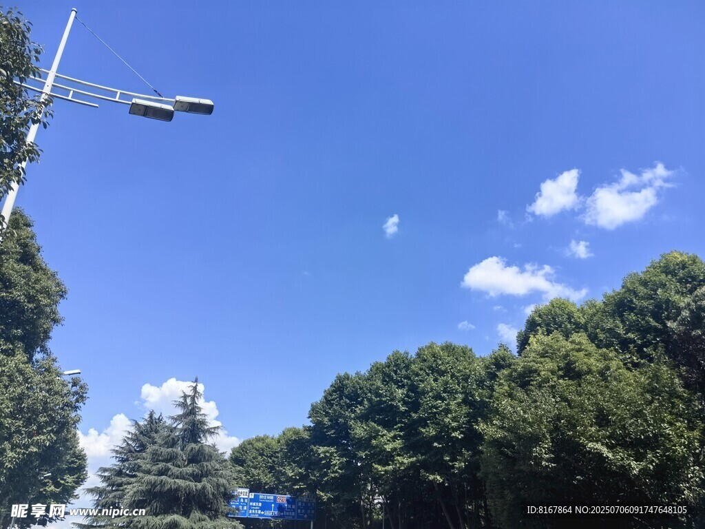 蓝天绿树间的起重机