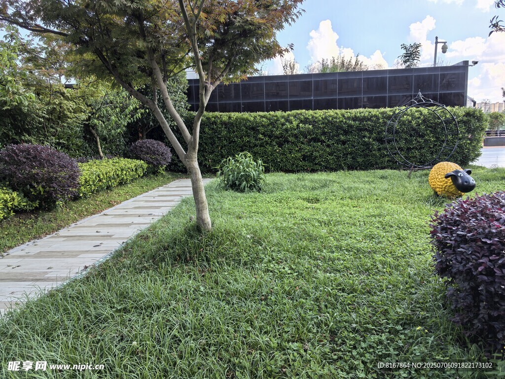 庭院绿植景观一角