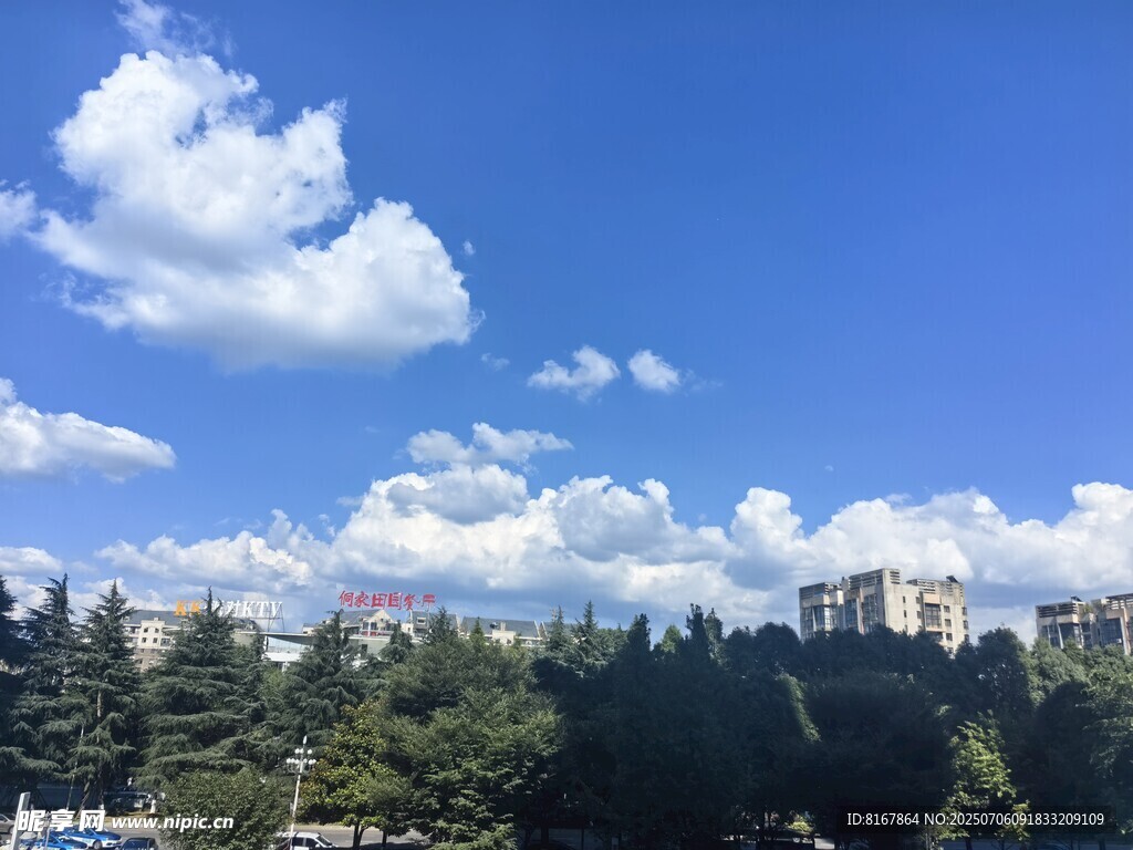 蓝天白云下的城市森林景观