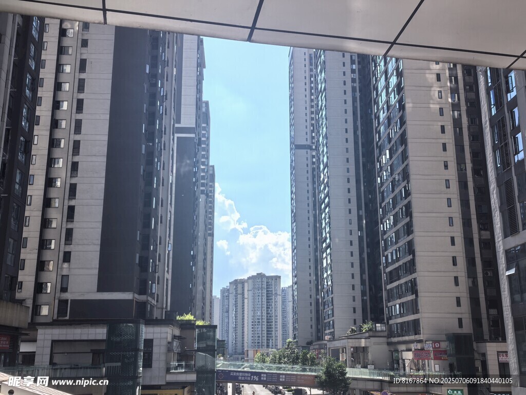 高楼林立的城市景观