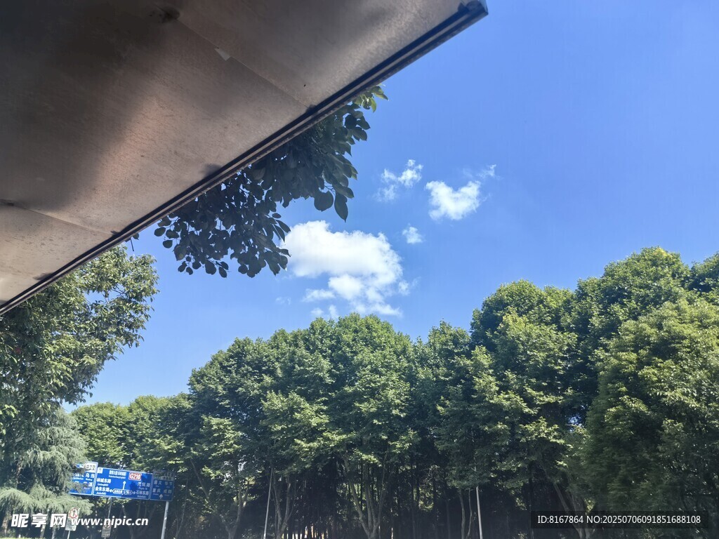 蓝天绿树间的户外景致