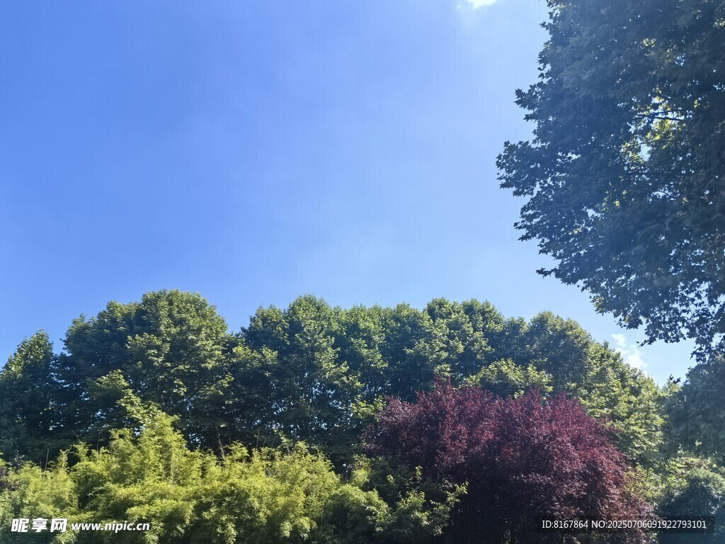 蓝天绿树间的多彩景致