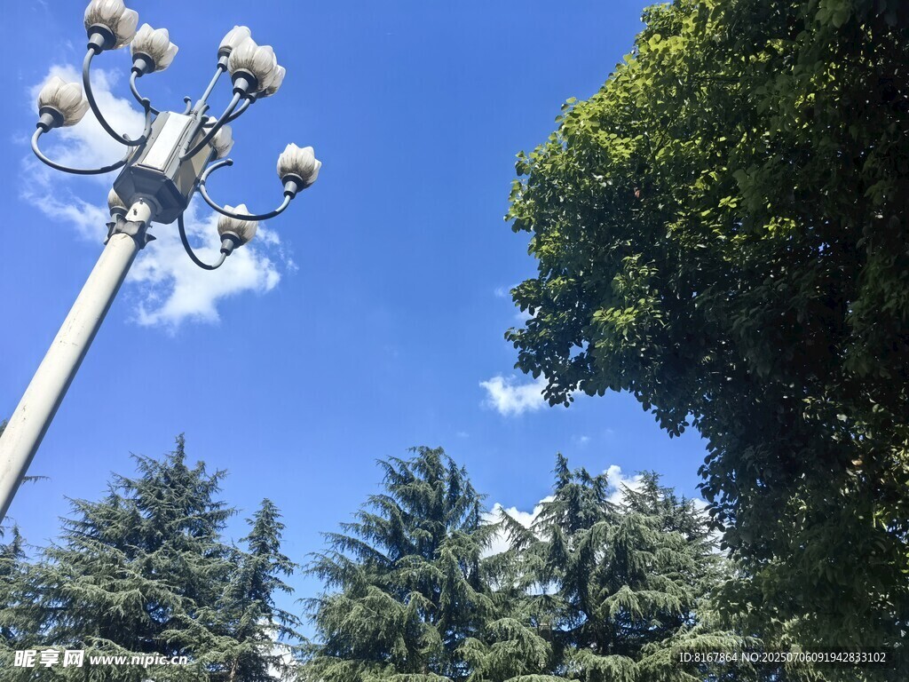蓝天绿树间的多灯路灯