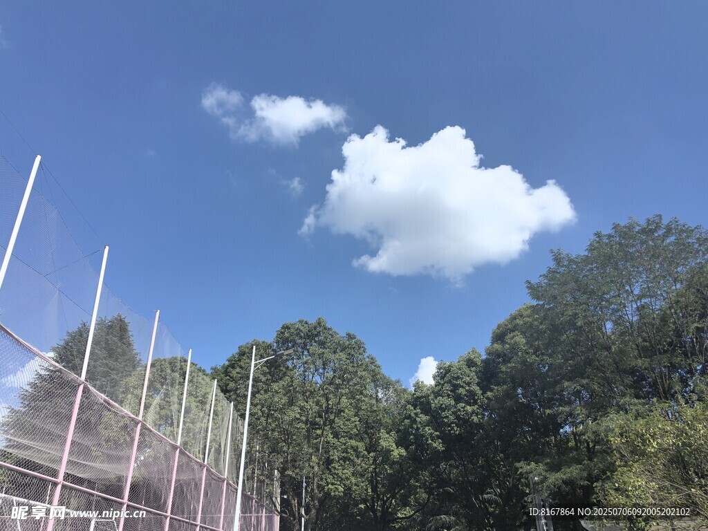 蓝天绿树旁的建筑脚手架