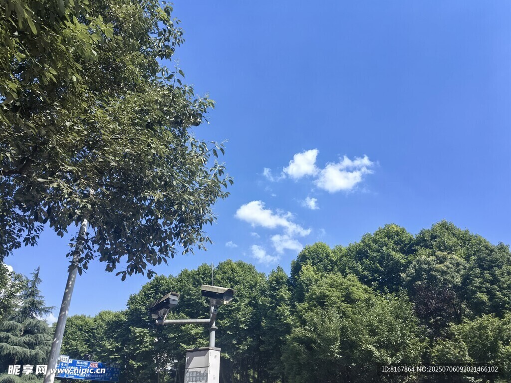 蓝天绿树间的清新景致