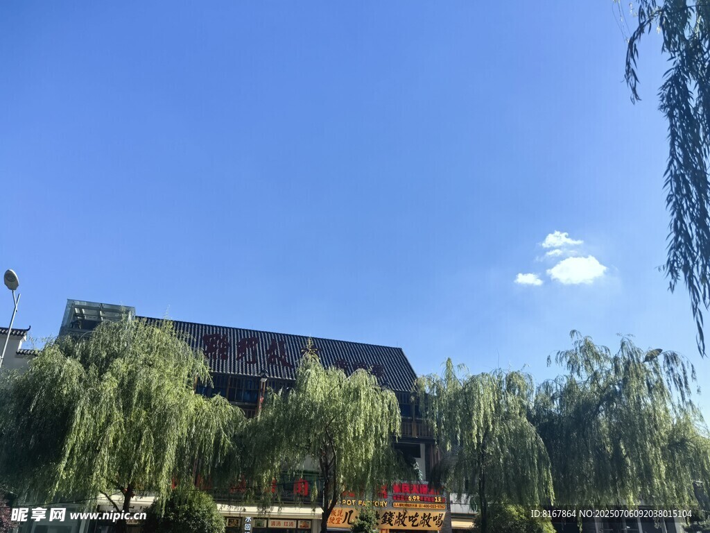 中式建筑旁的葱郁绿树