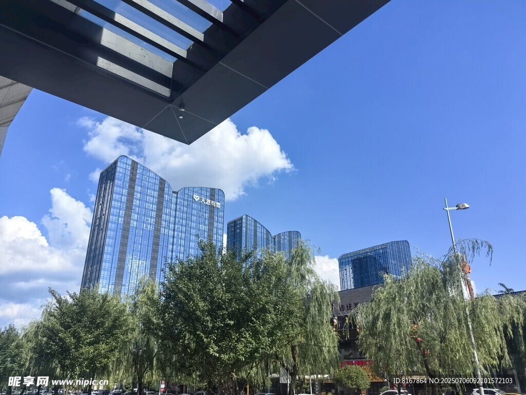 城市绿树与高楼景观