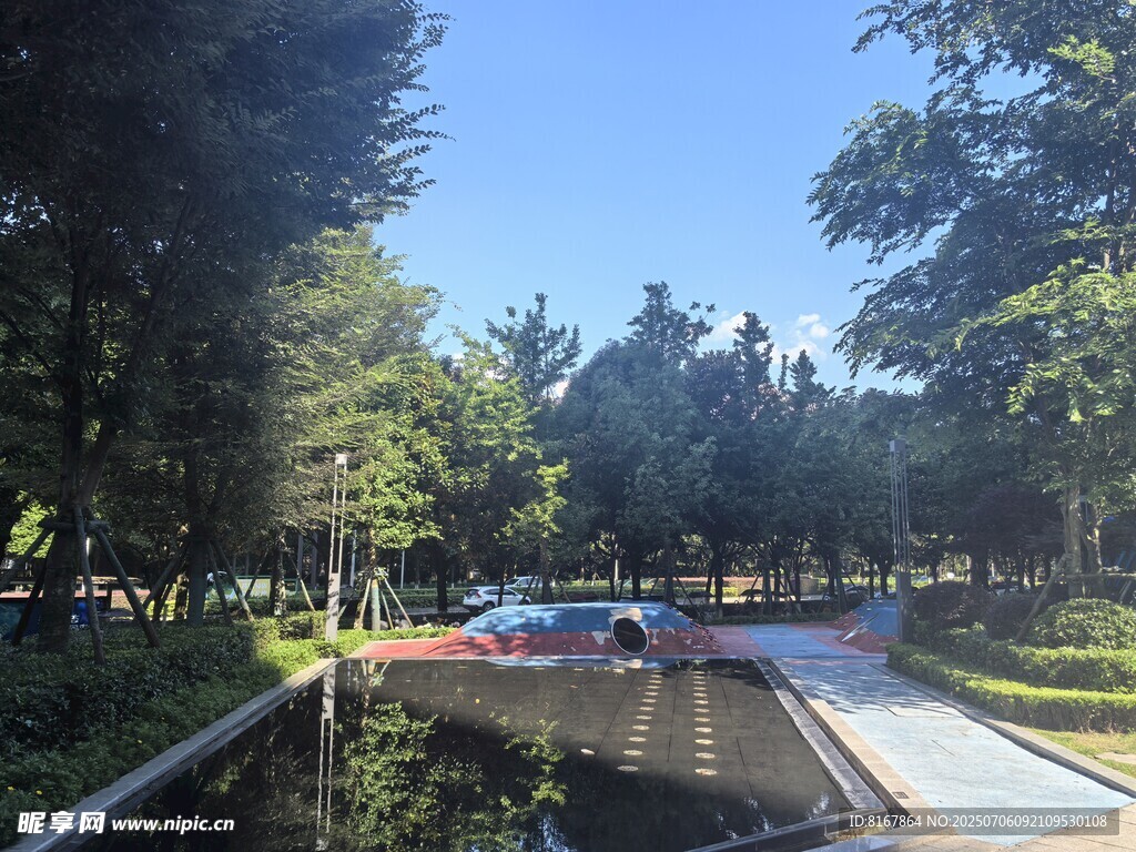 城市林荫道路景观