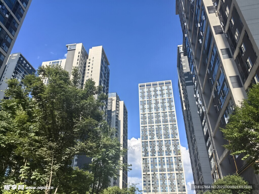 城市高楼与绿树景观