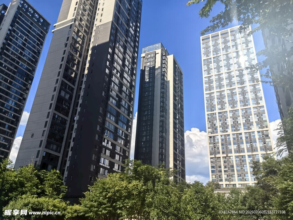 城市高楼与绿树景观