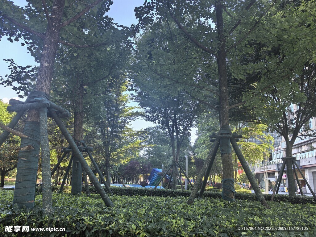 公园绿树成荫的休闲场景