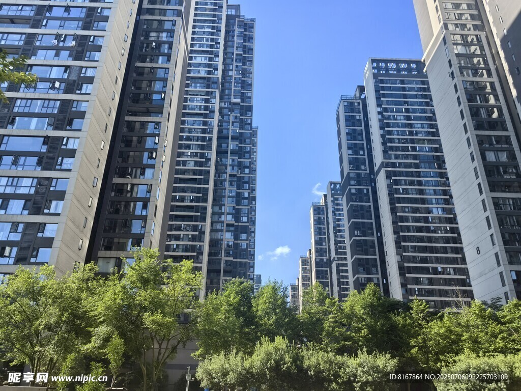 城市高楼与绿树景观
