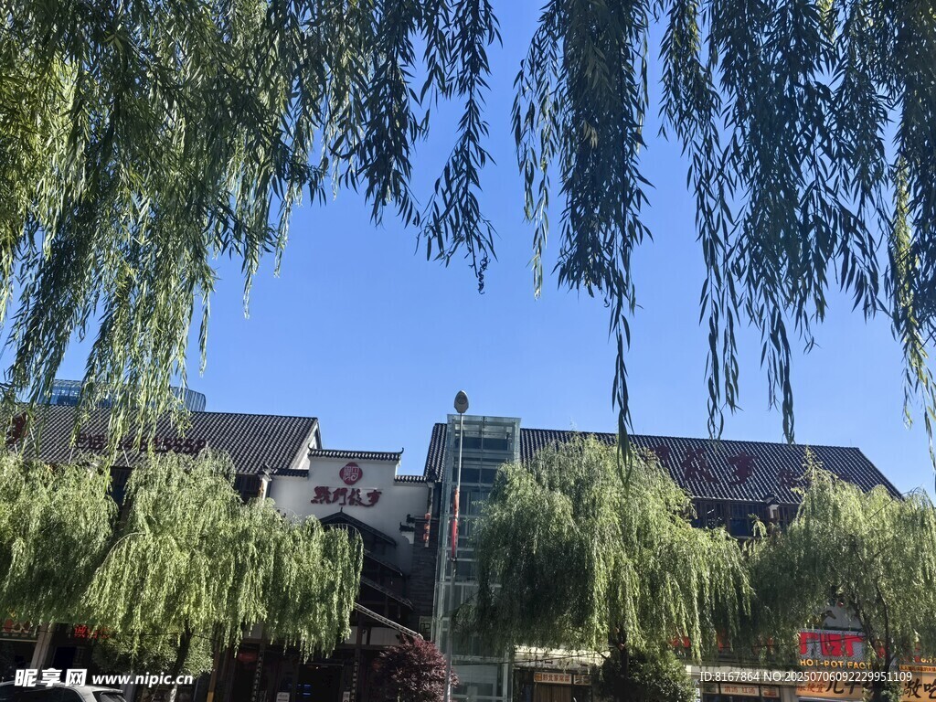 垂柳掩映下的古朴建筑