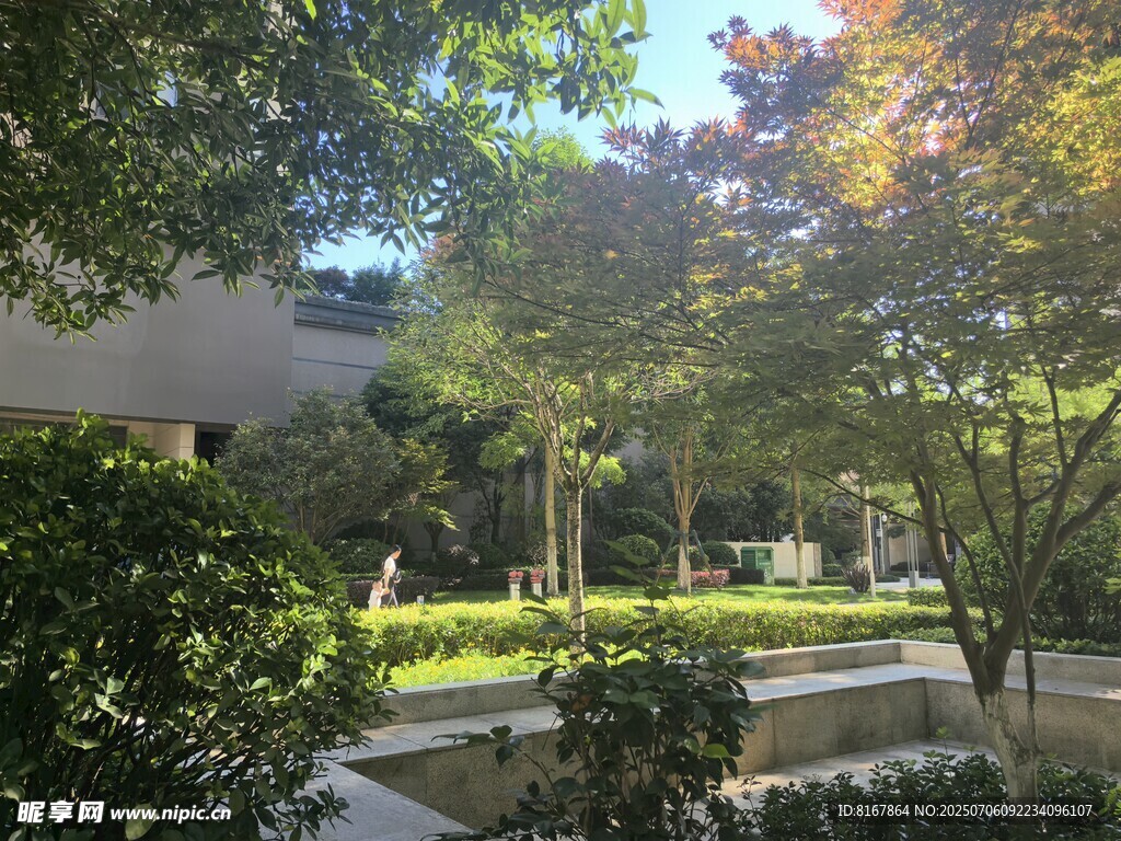 静谧庭院绿植景观