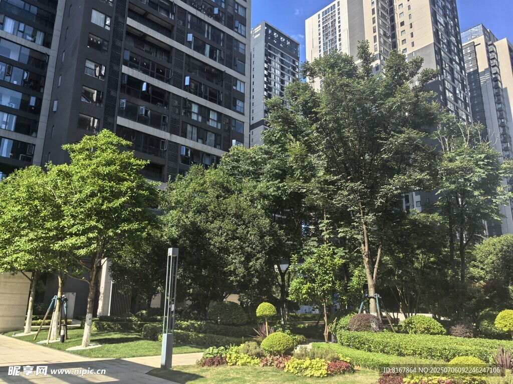 城市小区内的绿植景观