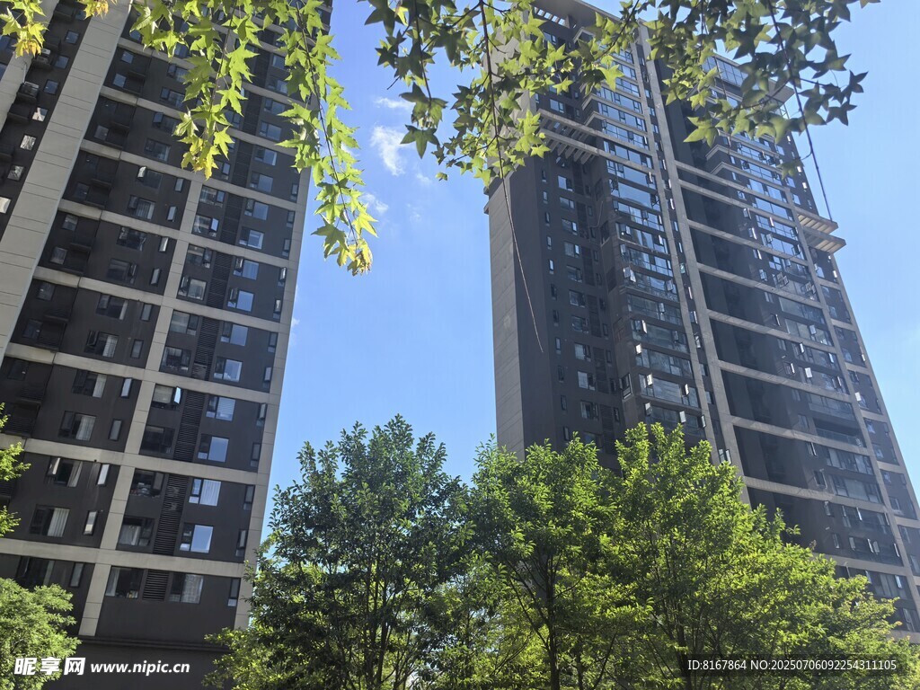 高楼间的绿树蓝天景致