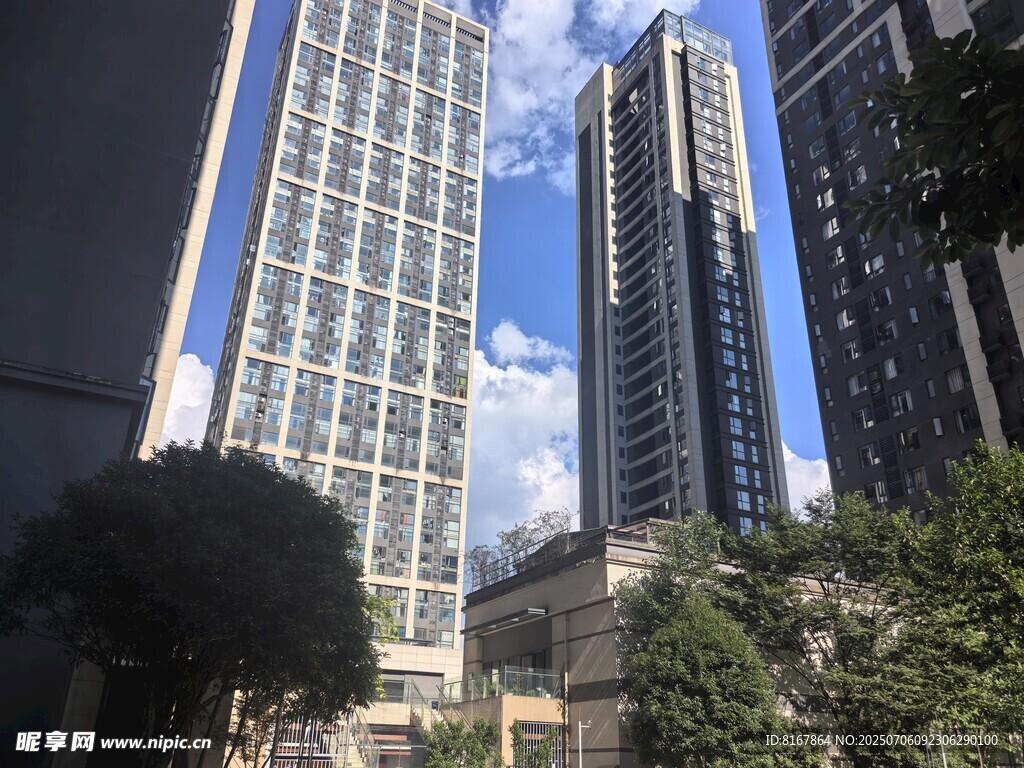 都市高楼与绿树相映成趣