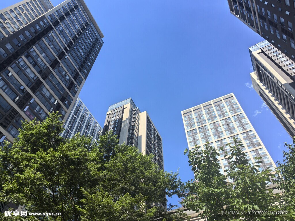 城市高楼与绿树相映成趣