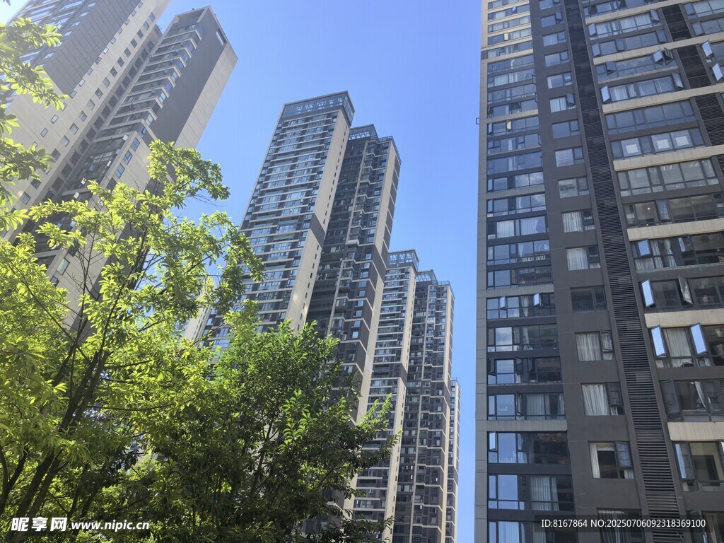 城市高楼与绿树相映成趣