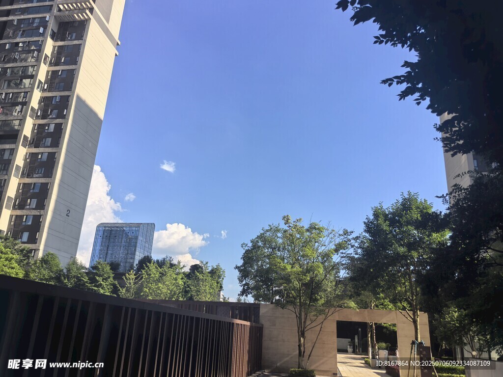 城市中的建筑与绿树景观