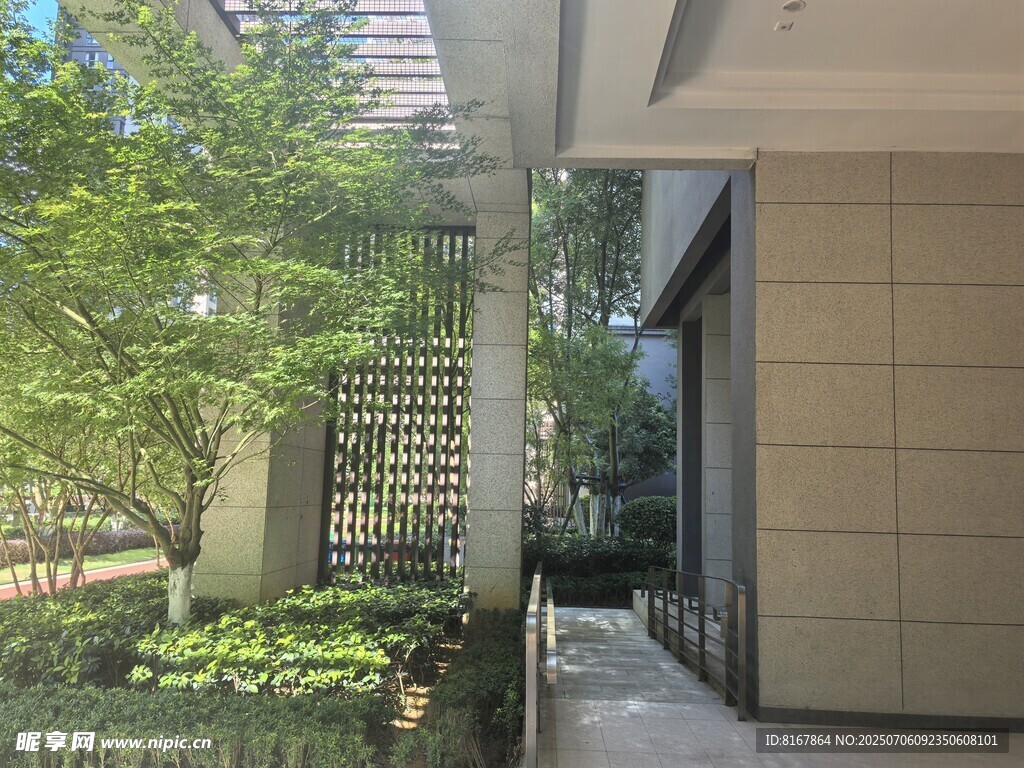 现代庭院景观一角