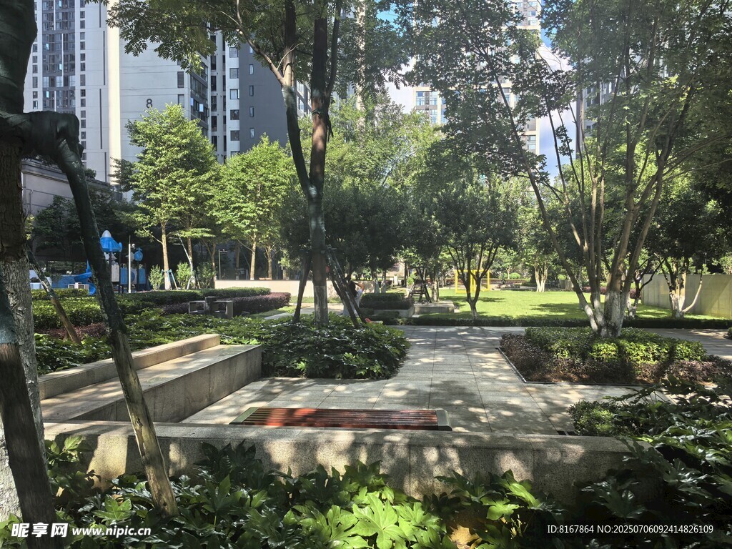 城市中的静谧绿意公园