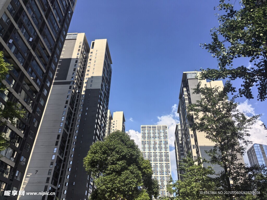 城市高楼与绿树相映成景