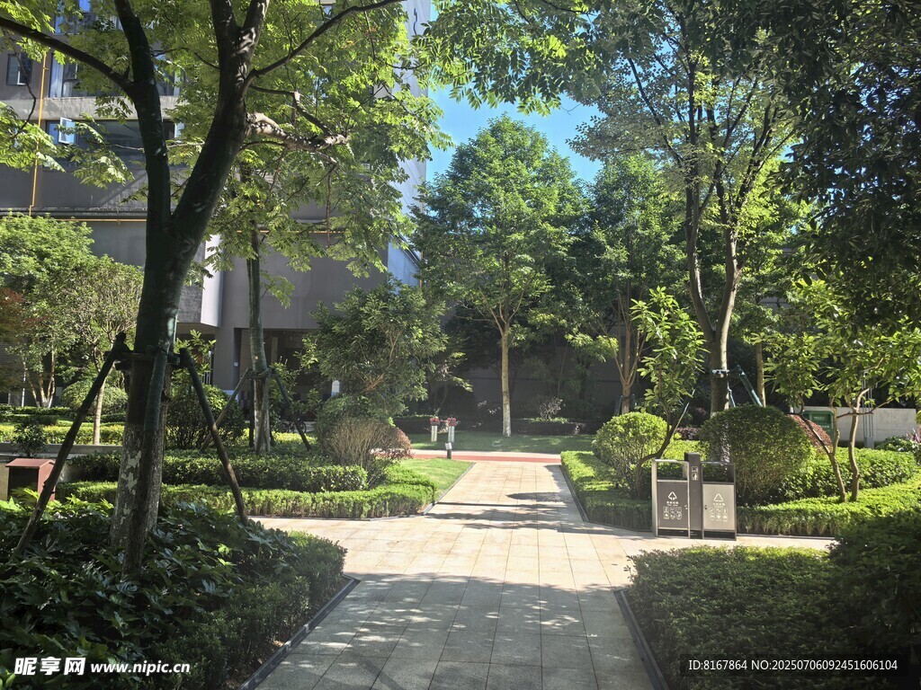 静谧林荫小道景观