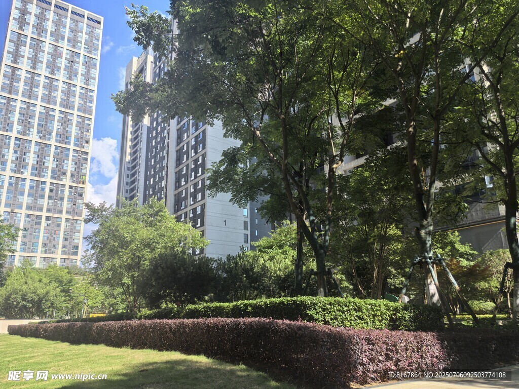 城市中的绿意景观