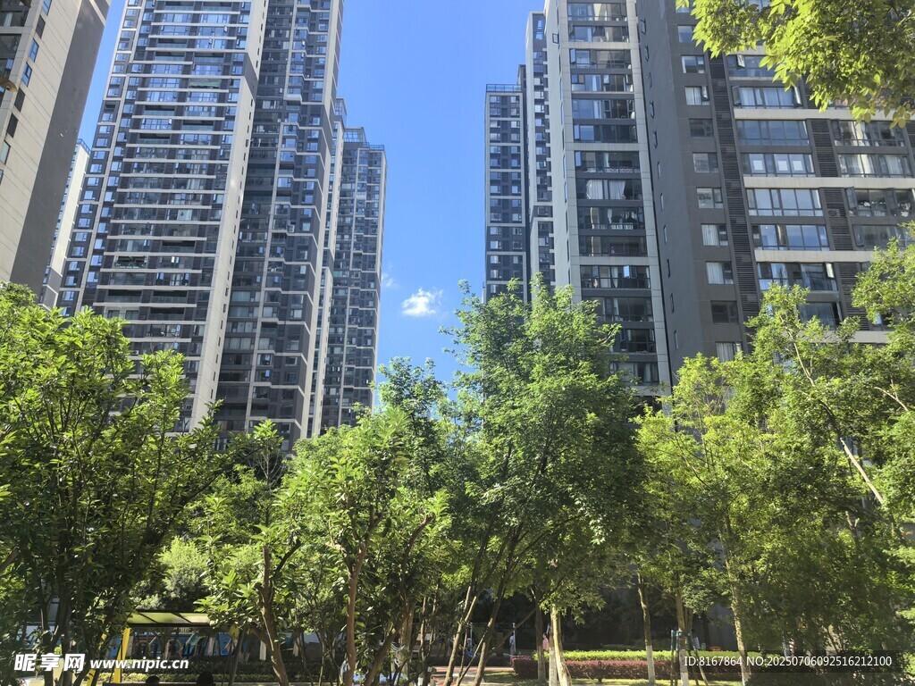 城市高楼与绿树景观