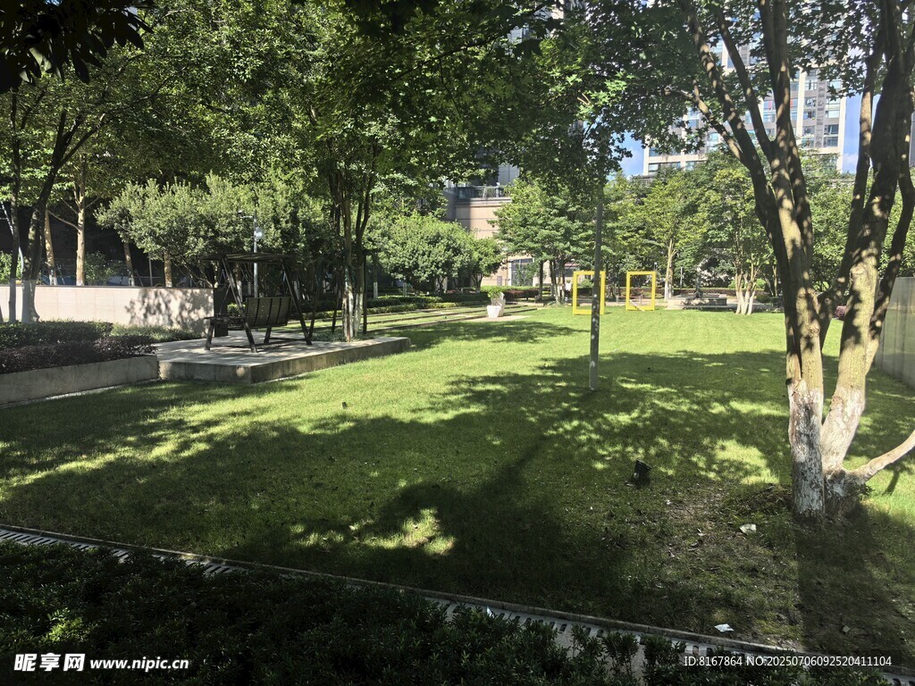城市中的静谧绿荫草地