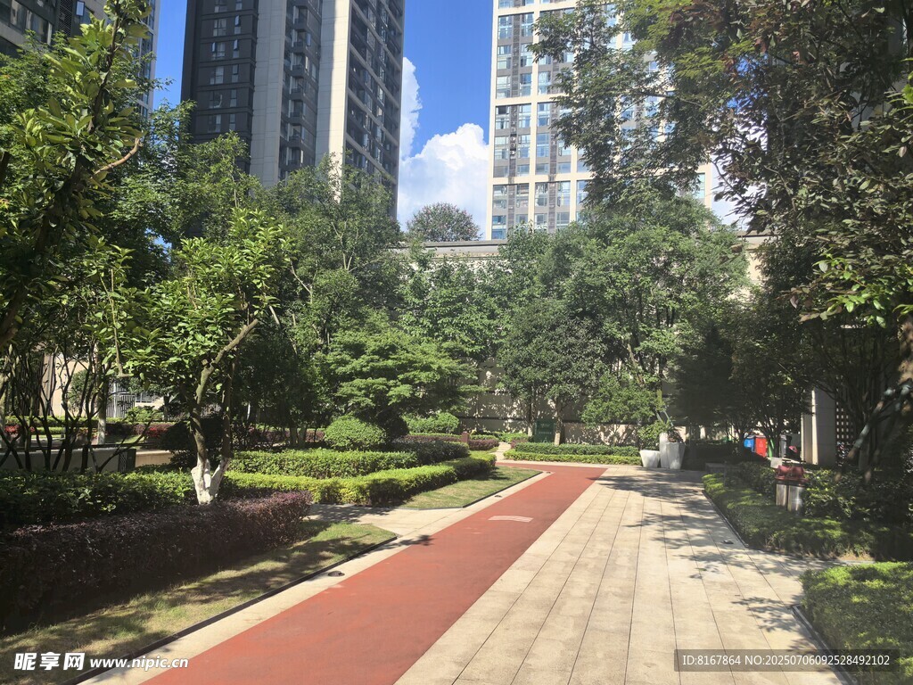 城市中的林荫步道景观