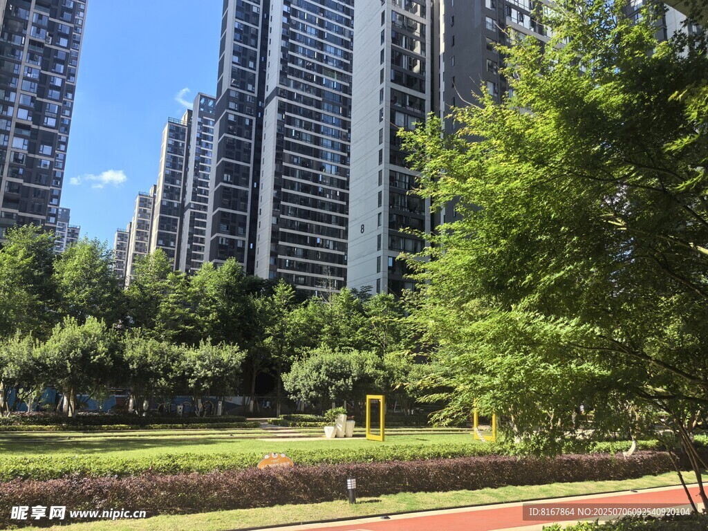 城市中的绿意公园景观