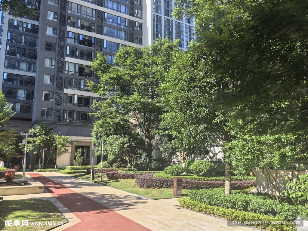 城市小区中的绿意景观