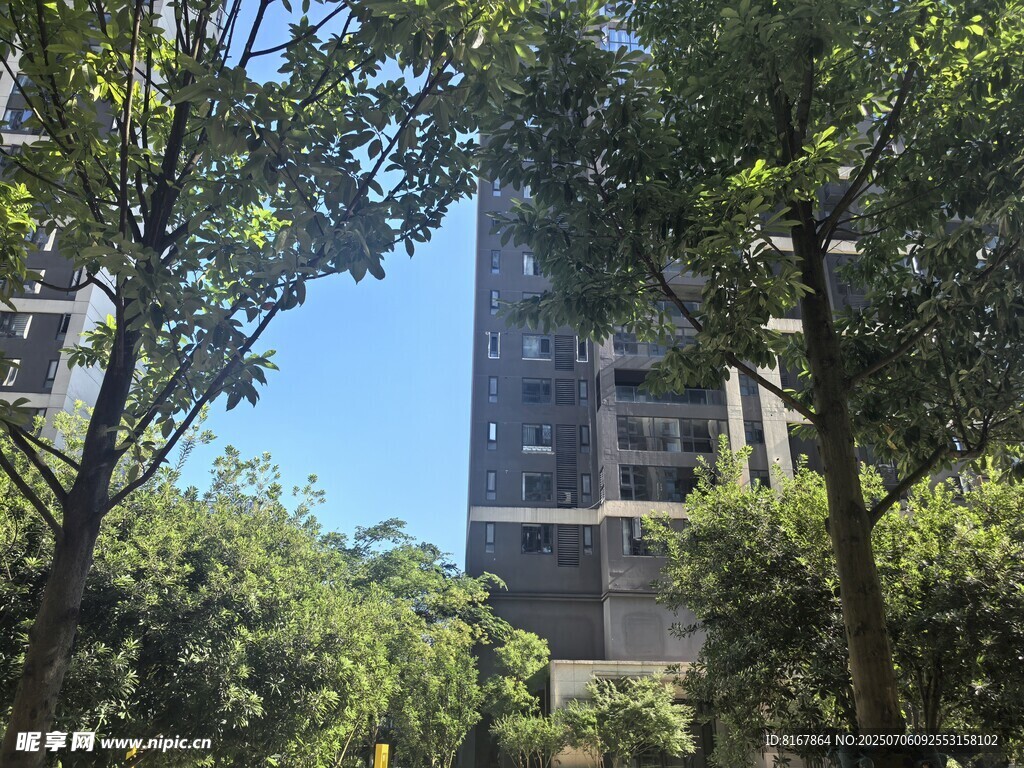 绿树环绕的高楼景观