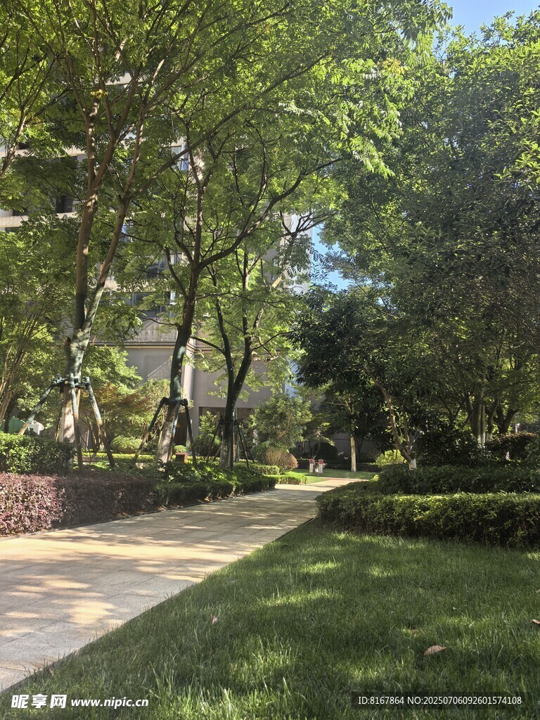 绿意盎然的公园小径