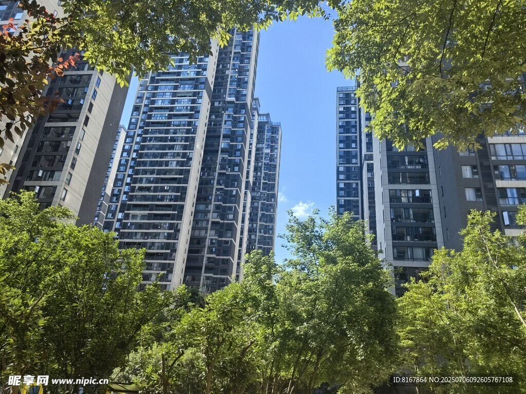 绿树环绕的现代高楼
