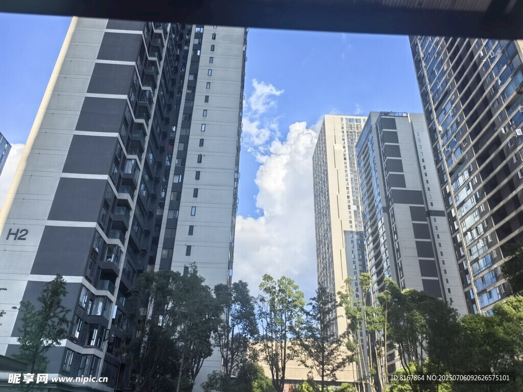 城市高楼与绿树景观